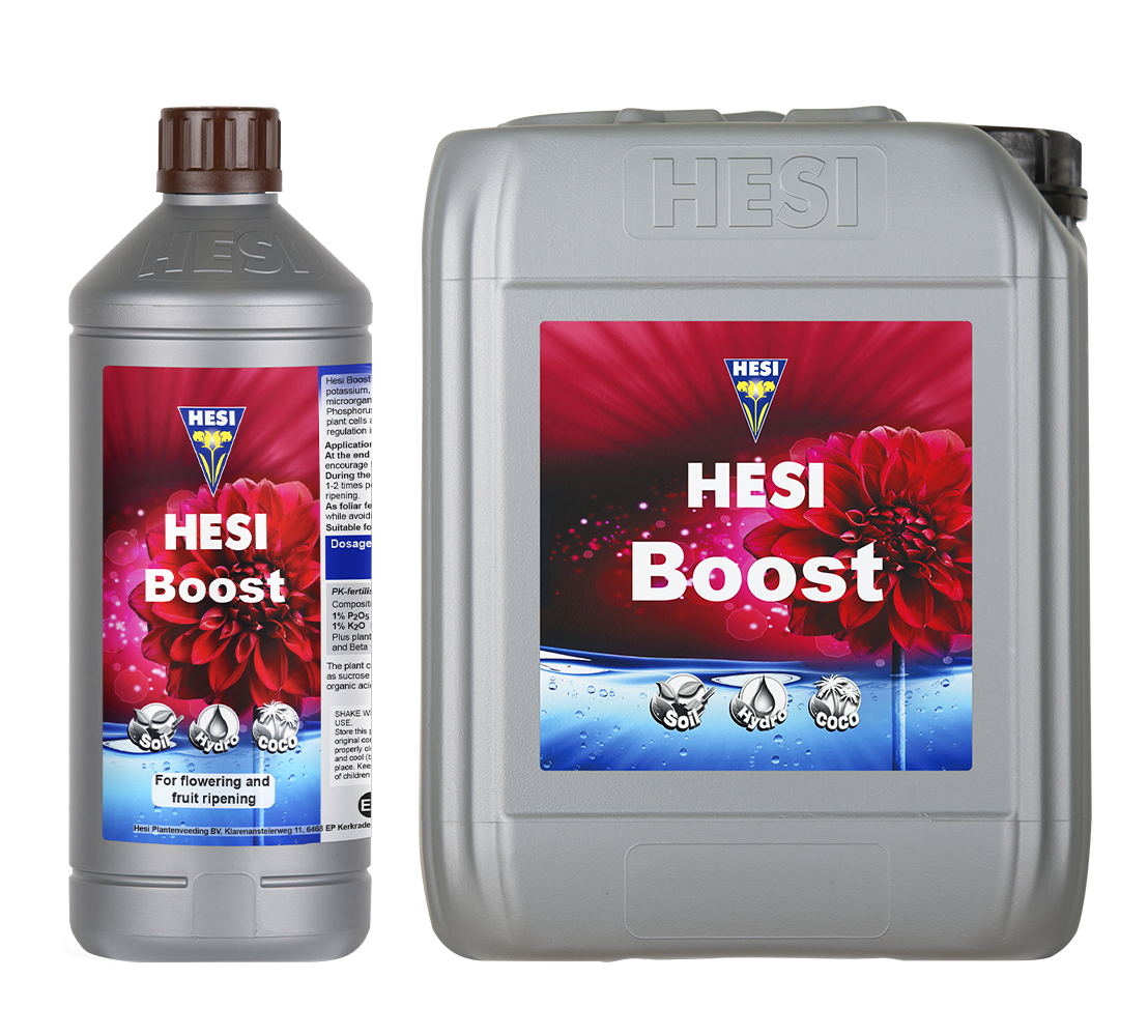 HESI Boost