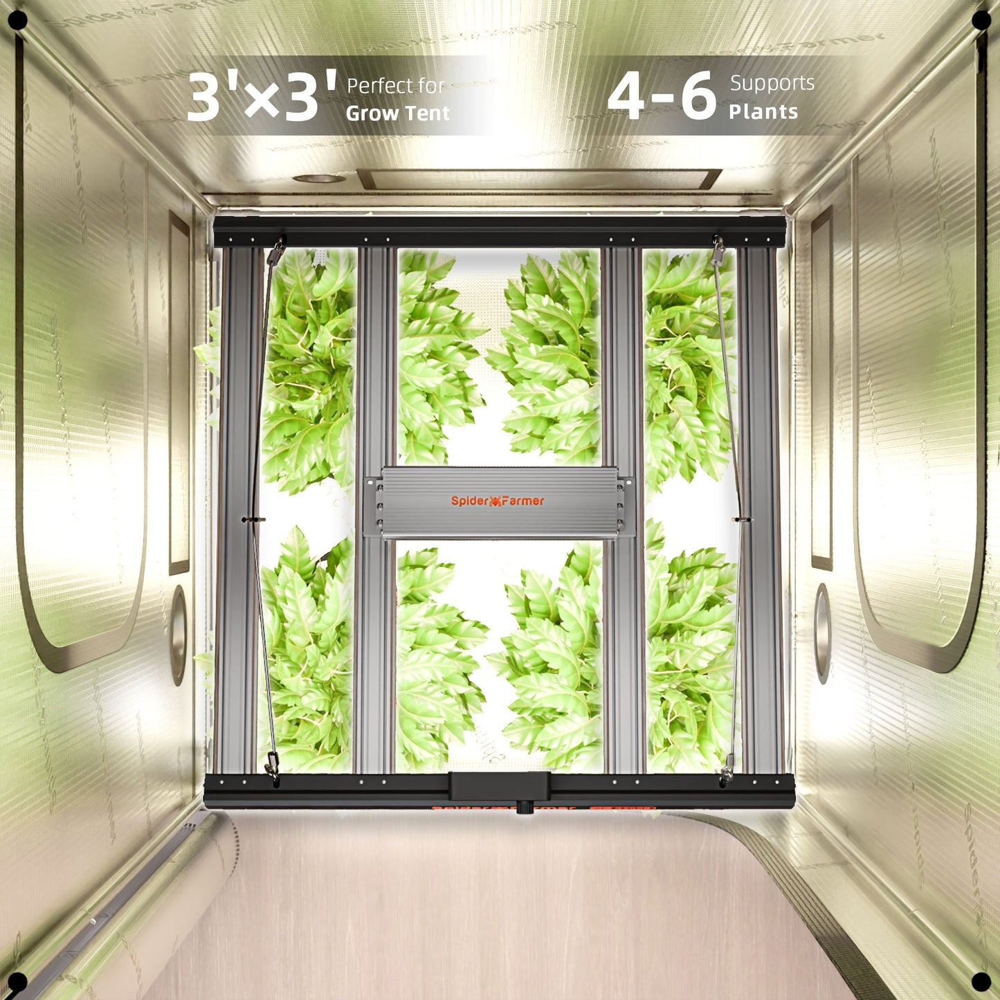 2025 Spider Farmer G3000 Komplettset (90x90x180cm)