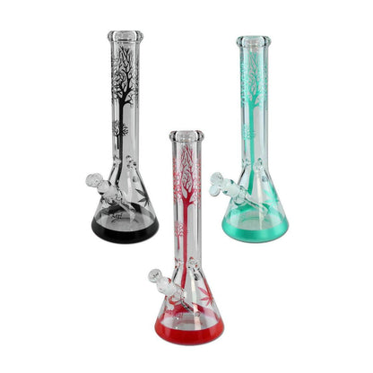 Black Leaf Baum Kolbenbong Ice rot 