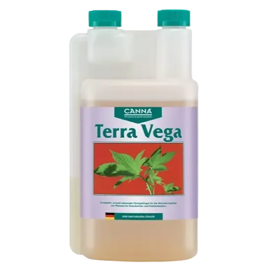 Canna Terra Vega