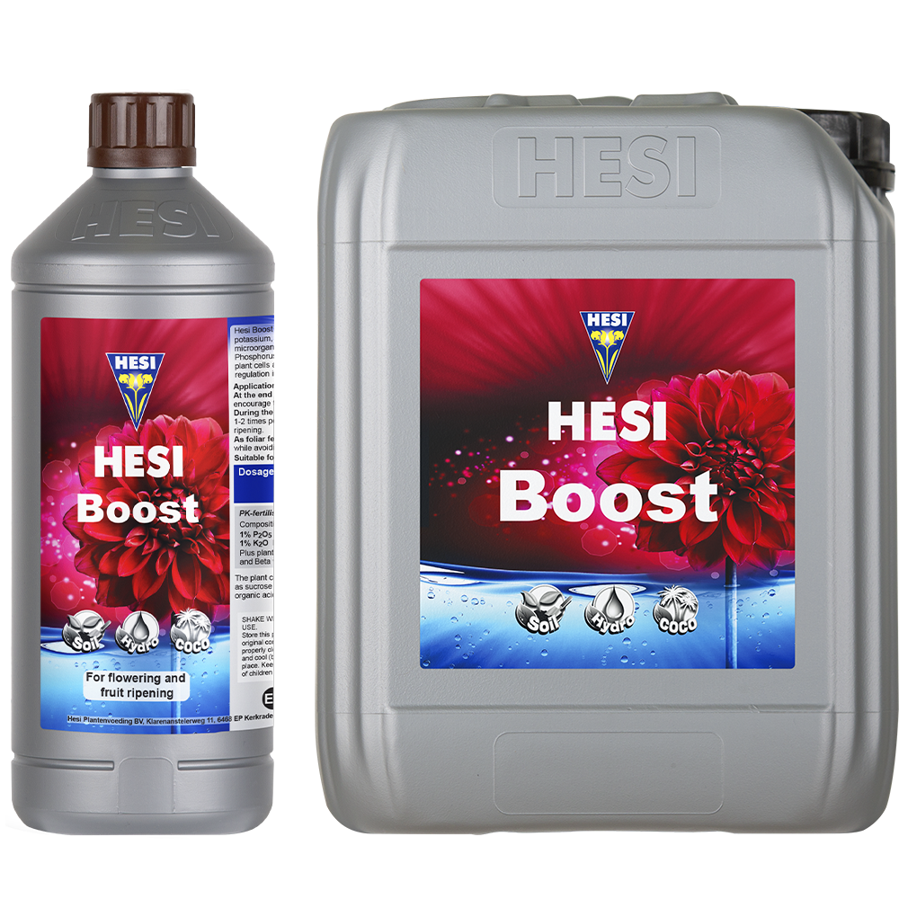 HESI Boost