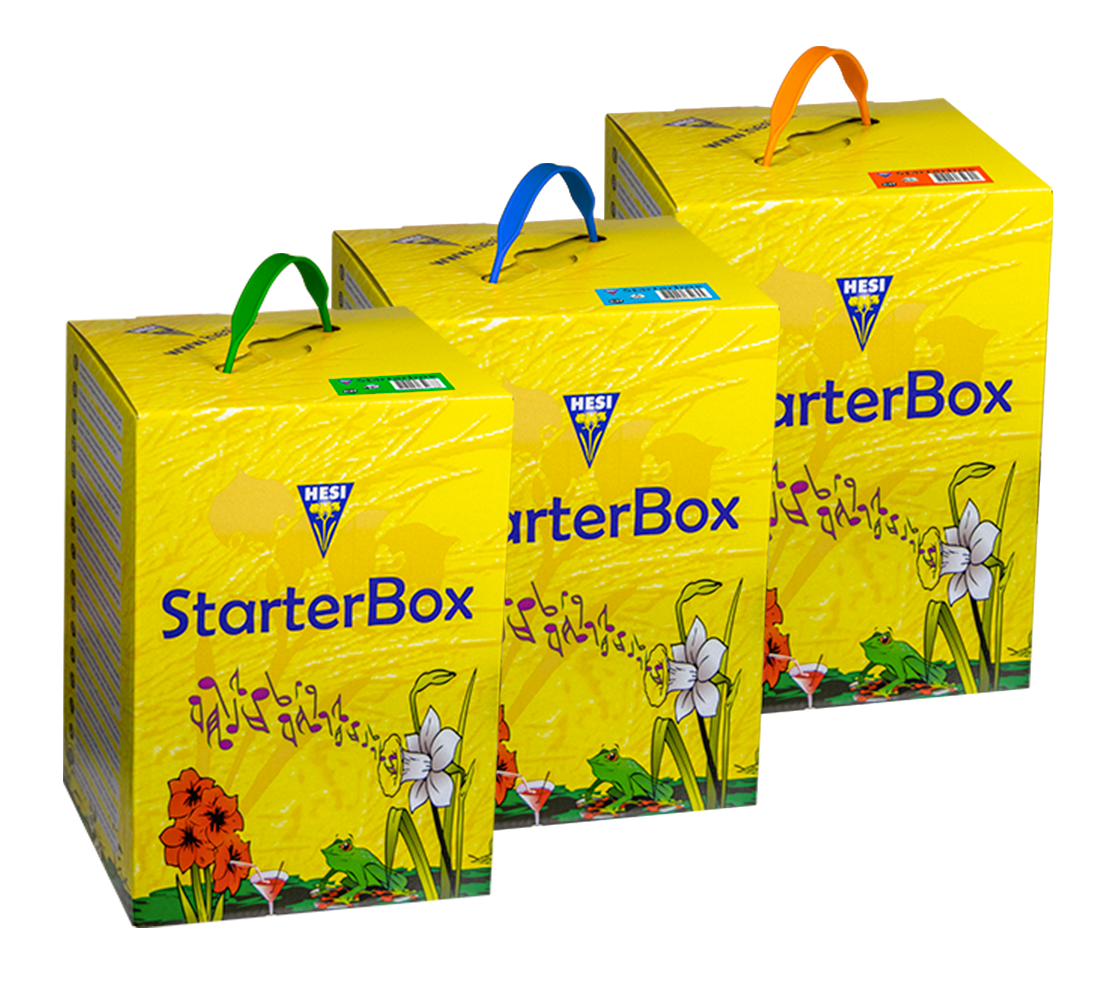 HESI StarterBox