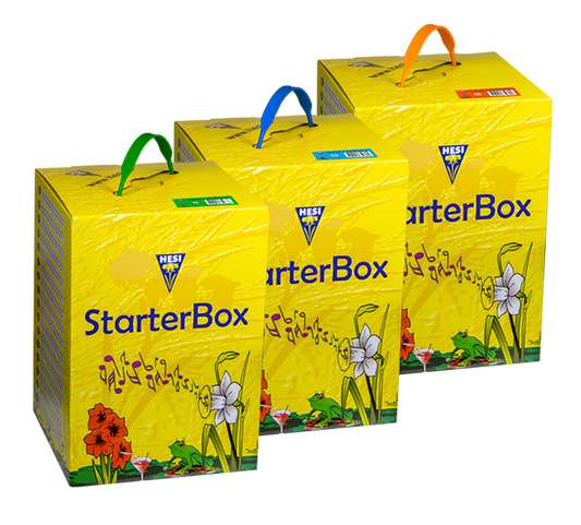 HESI StarterBox