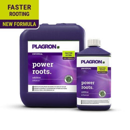 Plagron Power Roots 