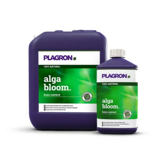 Plagron Alga Bloom