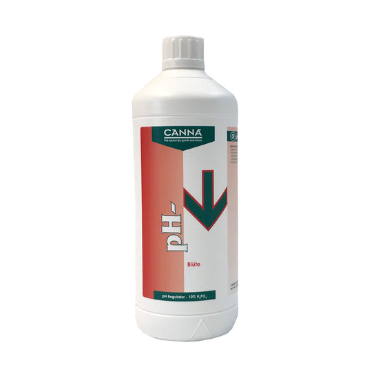 Canna pH- Blüte 10%