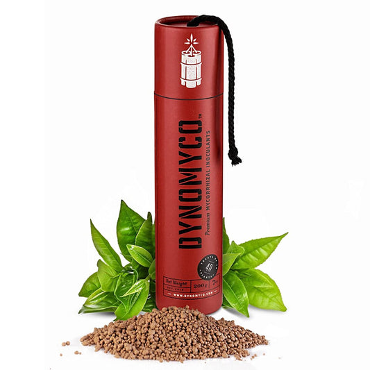 Dynomyco Dynamite Stick 200 g